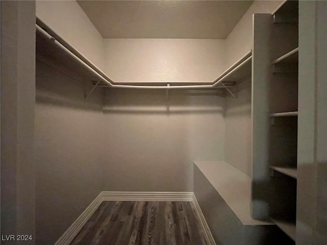 walk in closet featuring wood-type flooring