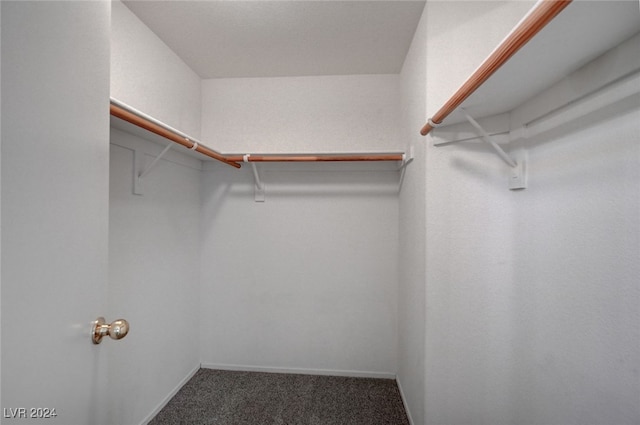 spacious closet with dark colored carpet