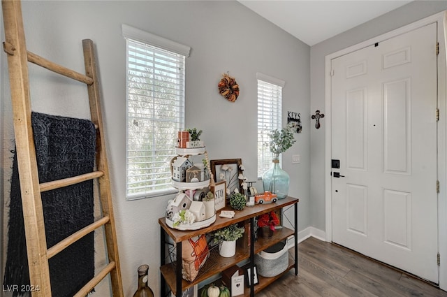 entrance foyer featuring a wealth of natural light, dark wood-style flooring, and baseboards