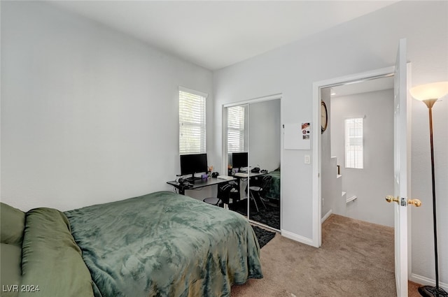 bedroom featuring multiple windows, baseboards, a closet, and light colored carpet