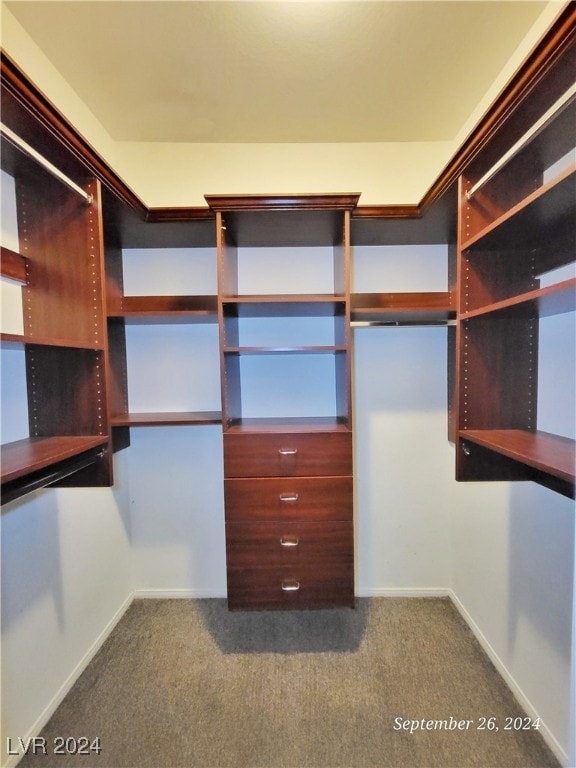 walk in closet with carpet floors