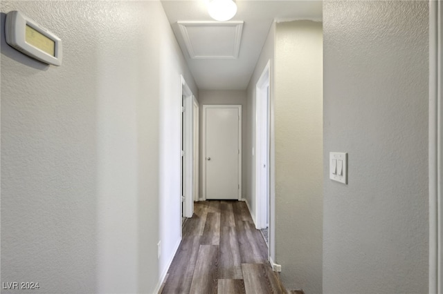 hallway with wood-type flooring