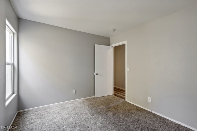 empty room with carpet and a wealth of natural light