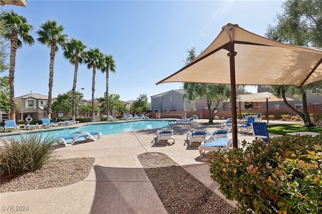 view of pool with a patio area