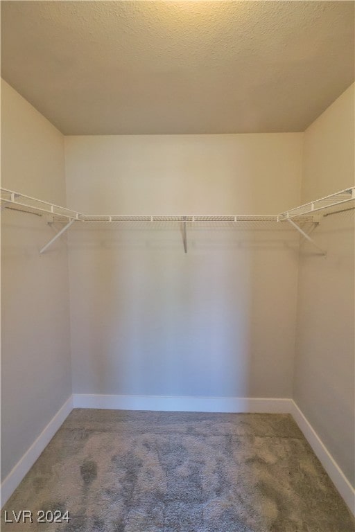 spacious closet with carpet flooring