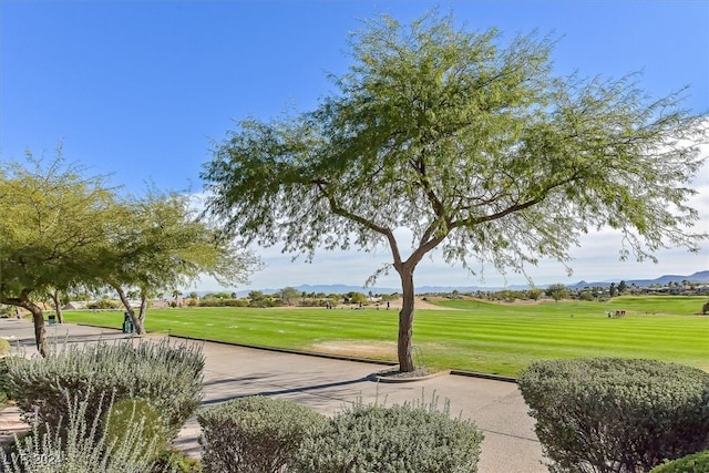 view of community with a yard