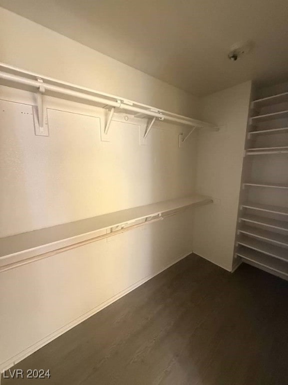 walk in closet featuring dark hardwood / wood-style floors