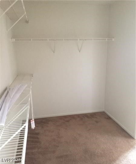 walk in closet featuring dark carpet