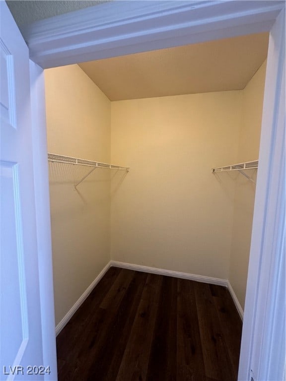 spacious closet featuring dark hardwood / wood-style flooring