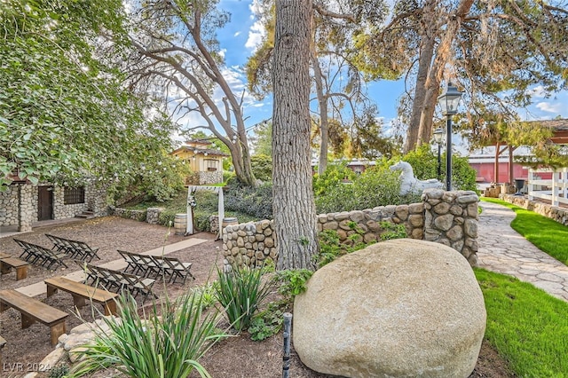 view of yard featuring a patio area