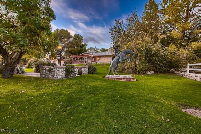 view of yard with a patio