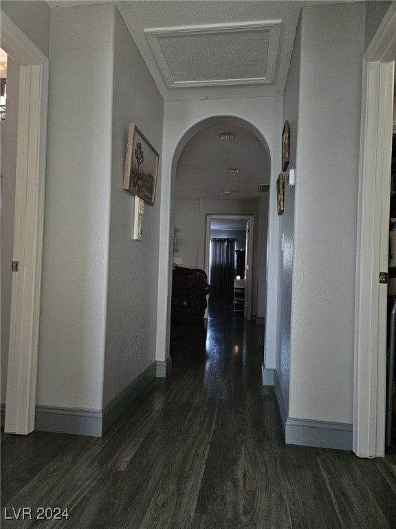 hall with dark wood-type flooring