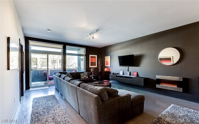 living room with light hardwood / wood-style flooring and rail lighting