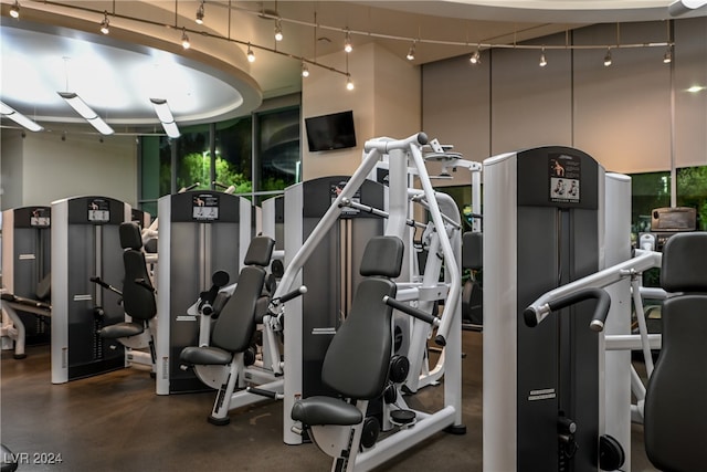 exercise room featuring a high ceiling and rail lighting