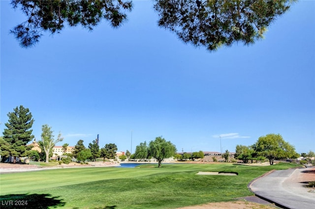 view of home's community featuring a yard