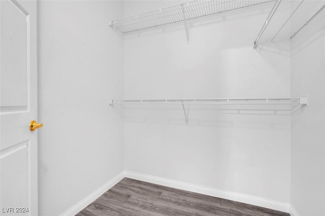 walk in closet featuring dark hardwood / wood-style flooring