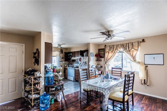 dining area with ceiling fan, dark hardwood / wood-style floors, and a textured ceiling