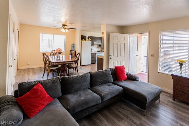 living room featuring hardwood / wood-style flooring, ceiling fan, and a textured ceiling