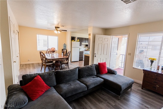 living room with plenty of natural light, hardwood / wood-style flooring, and a textured ceiling