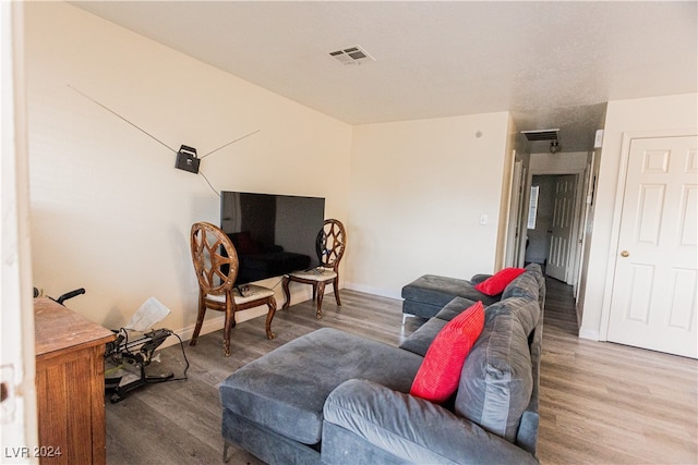 living room featuring hardwood / wood-style floors