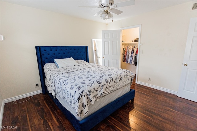 bedroom with ceiling fan, a closet, dark wood-type flooring, and a walk in closet