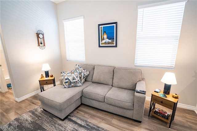 living room with wood-type flooring and a healthy amount of sunlight