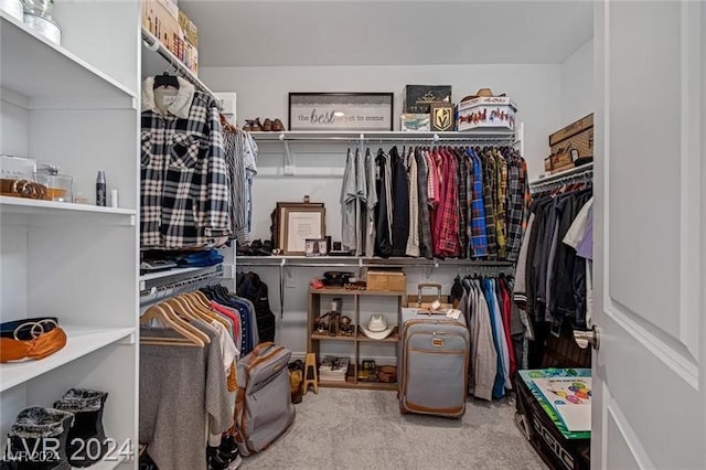 spacious closet featuring light carpet