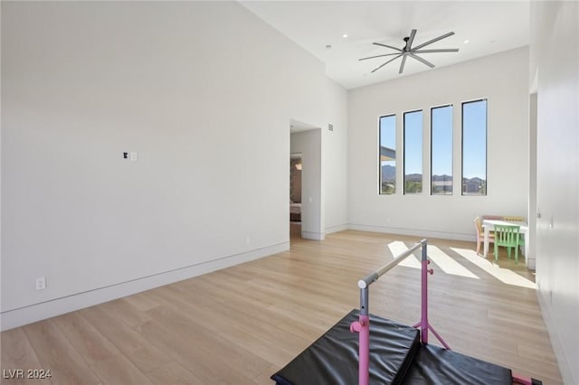 exercise area featuring ceiling fan and light hardwood / wood-style floors