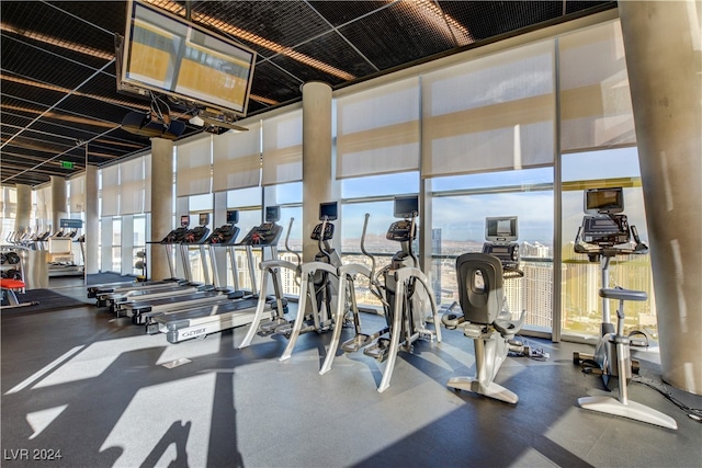 workout area with a wealth of natural light and a wall of windows