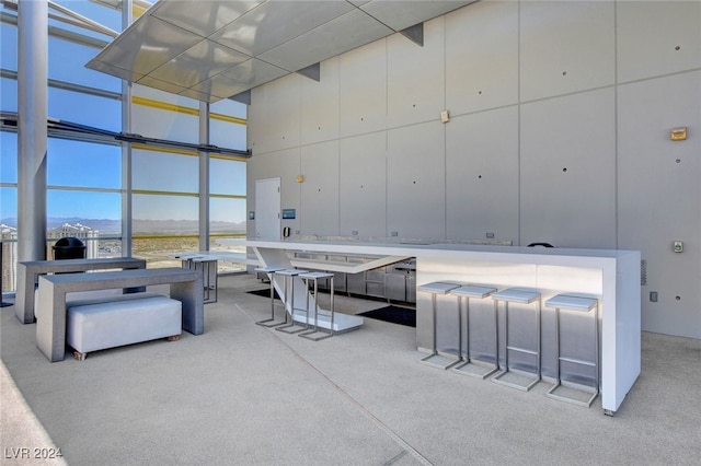 interior space featuring a towering ceiling, a mountain view, light carpet, and a wall of windows