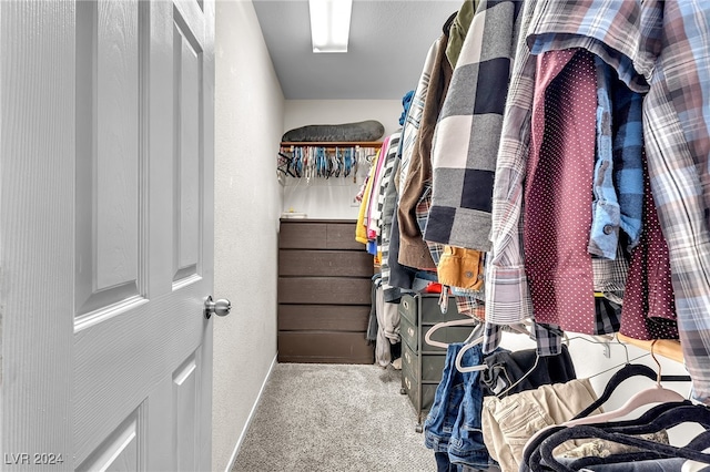 spacious closet featuring carpet