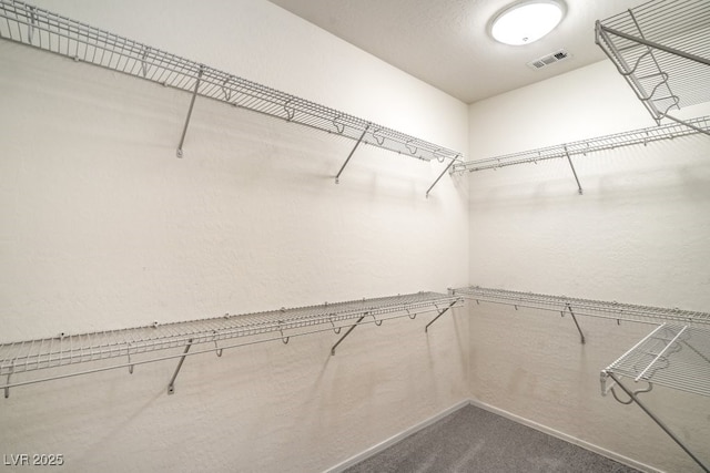 7625 Fieldfare Dr, North Las Vegas, NV 89084 - walk in closet with dark colored carpet