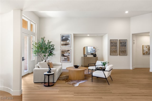 sitting room featuring a wealth of natural light and light wood-type flooring