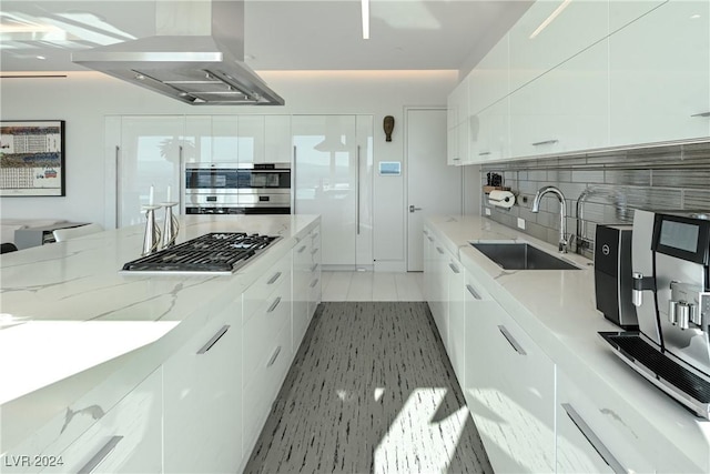 kitchen with a sink, modern cabinets, range hood, and stainless steel appliances