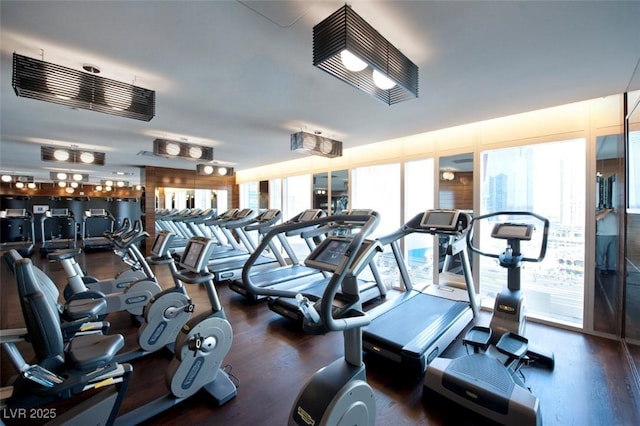 workout area with wood finished floors
