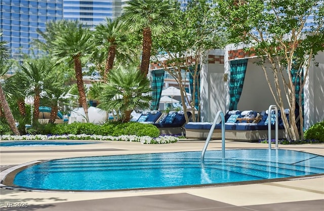 view of community pool