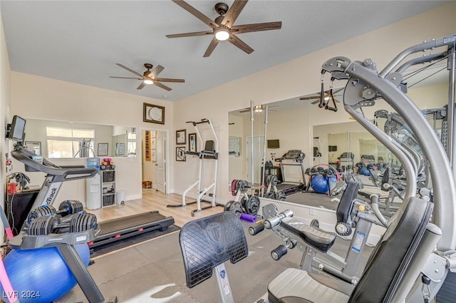 exercise room featuring light hardwood / wood-style floors and ceiling fan