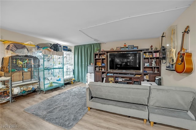 living room featuring wood-type flooring