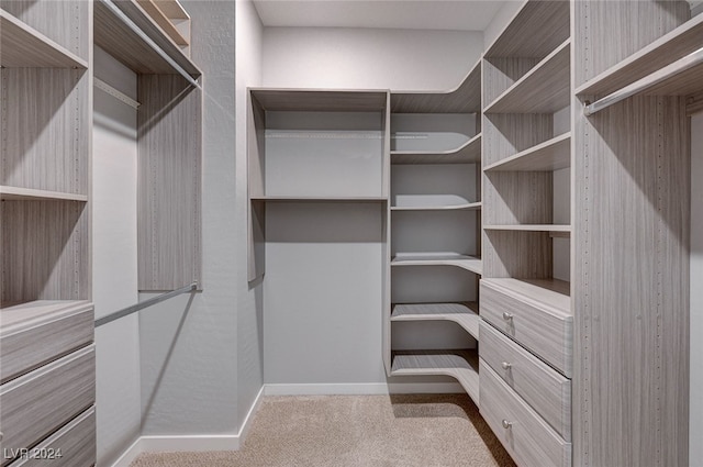 spacious closet with light carpet