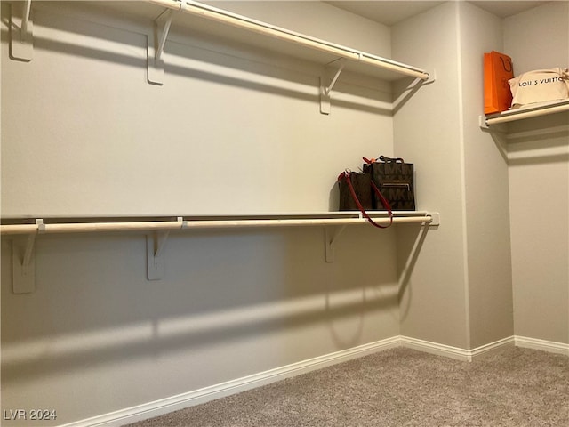 walk in closet with carpet