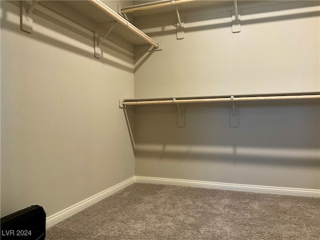 spacious closet with carpet flooring