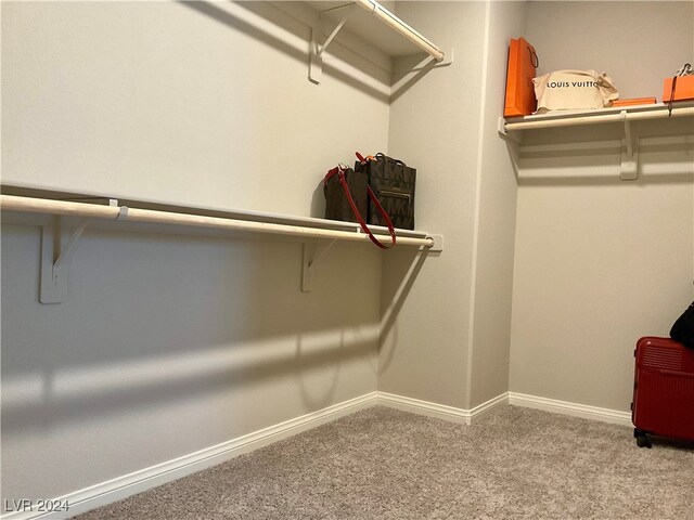 walk in closet featuring carpet flooring