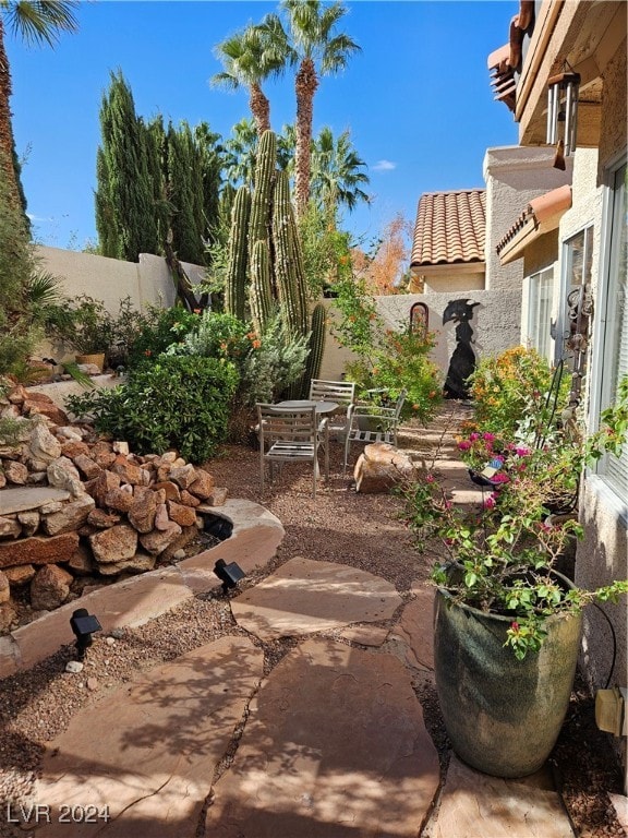 view of yard featuring a patio