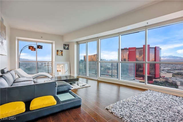 living room with a mountain view, wood-type flooring, and a wealth of natural light