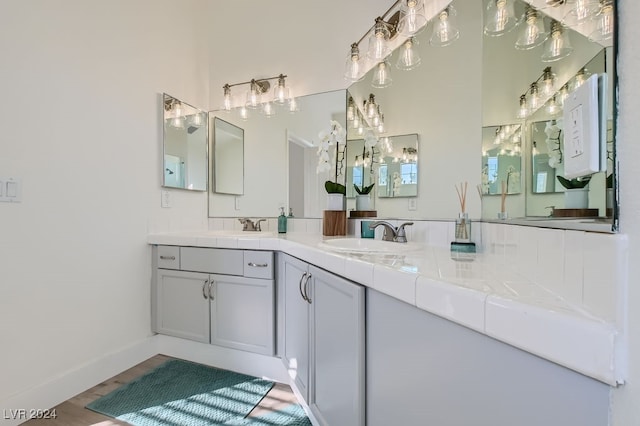 bathroom with vanity and wood-type flooring