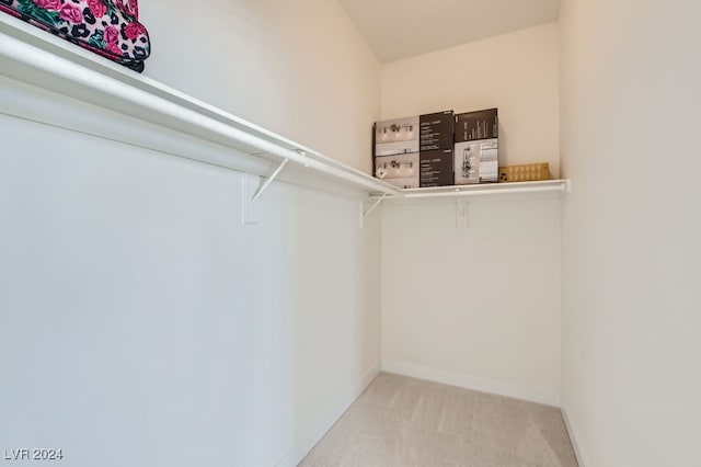 spacious closet featuring carpet