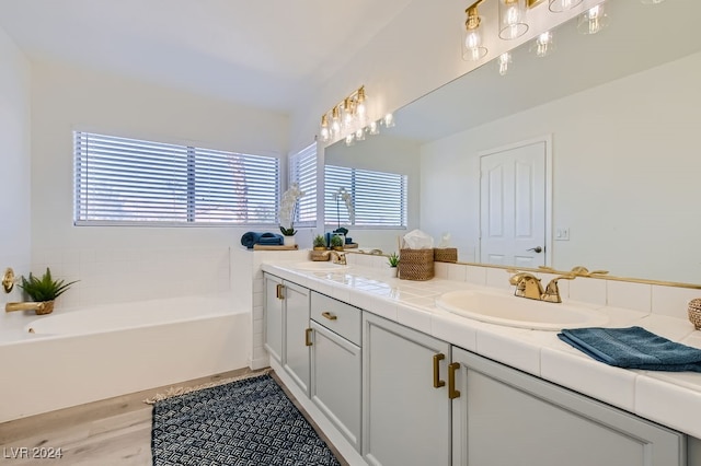 bathroom featuring vanity, wood-type flooring, and a bath