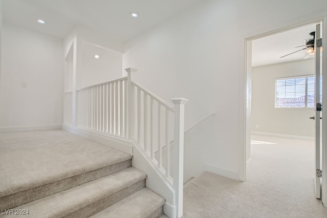 stairway with carpet flooring and ceiling fan