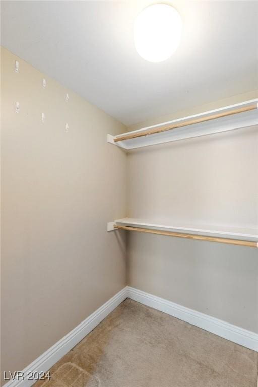 spacious closet with carpet flooring