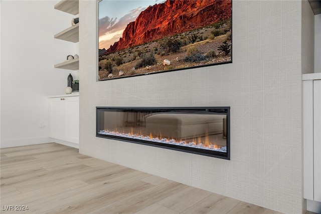 details featuring wood-type flooring and a fireplace